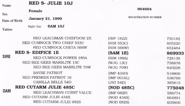 Red S- Julie 10J Reg